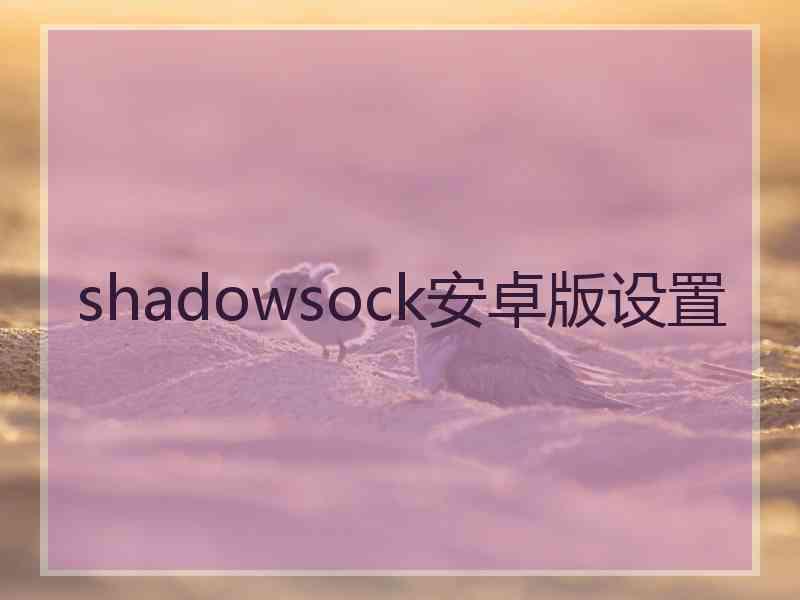 shadowsock安卓版设置