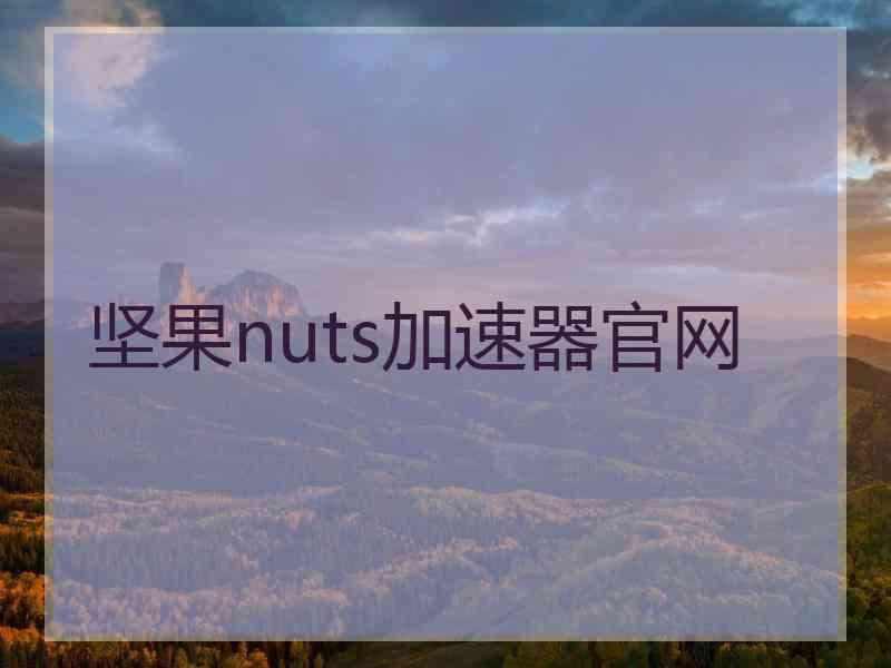 坚果nuts加速器官网