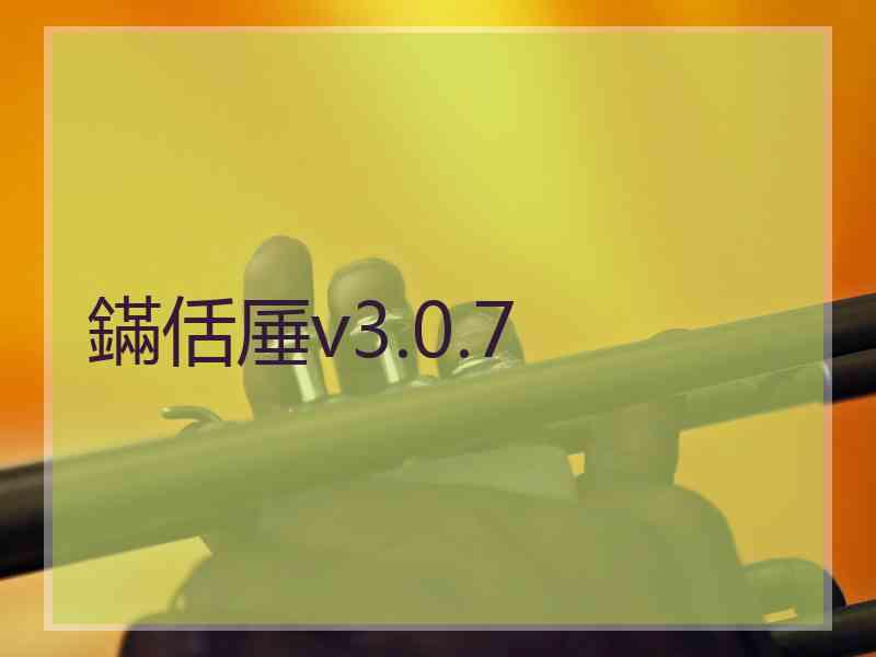 鏋佸厜v3.0.7