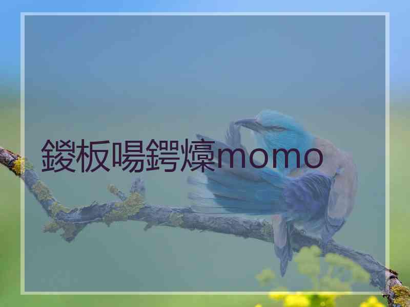 鍐板啺鍔燺momo