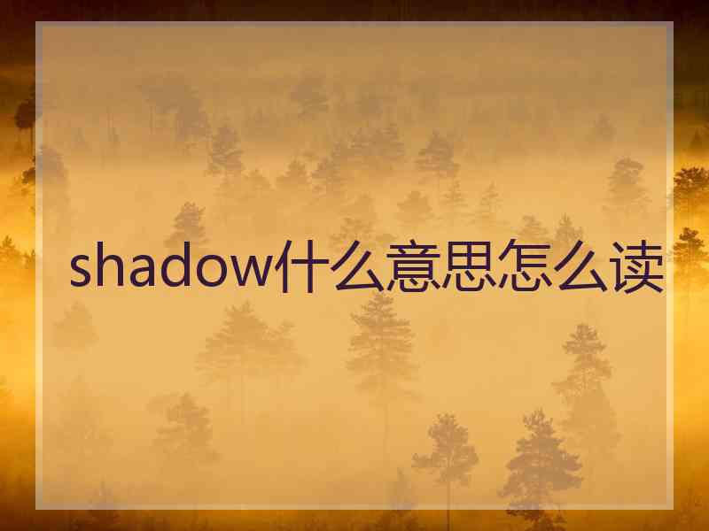 shadow什么意思怎么读