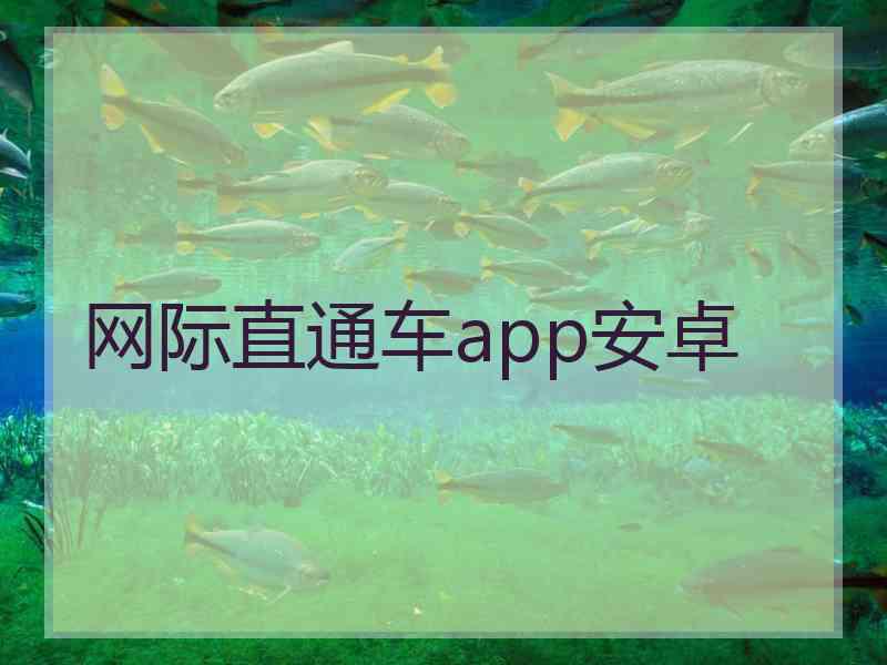 网际直通车app安卓