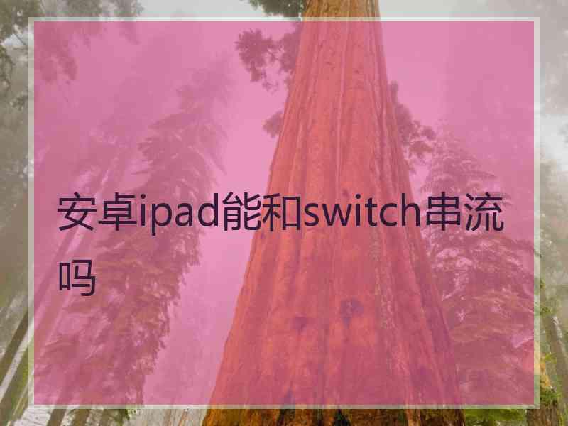 安卓ipad能和switch串流吗