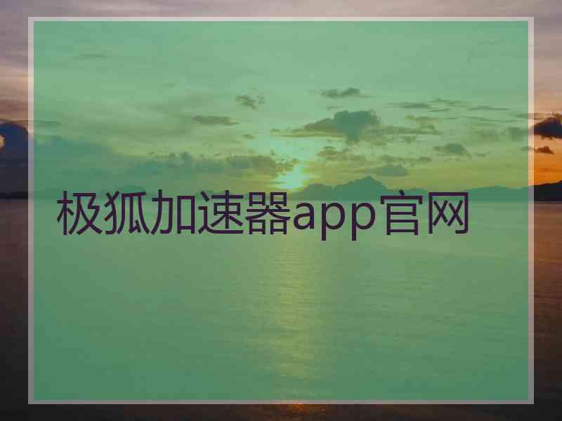 极狐加速器app官网