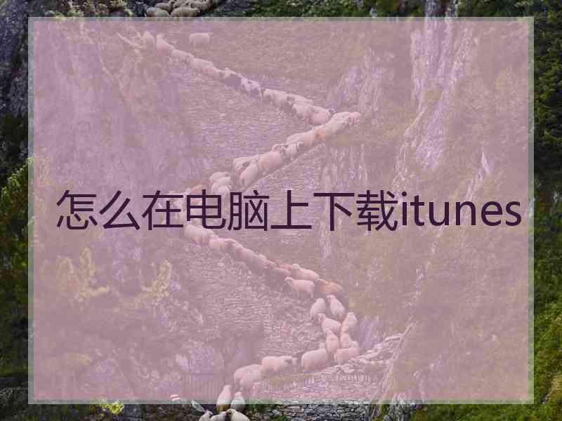 怎么在电脑上下载itunes