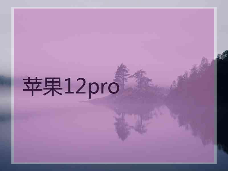 苹果12pro