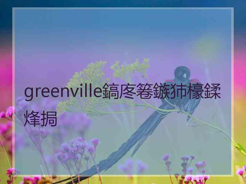 greenville鎬庝箞鏃犻檺鍒烽挶