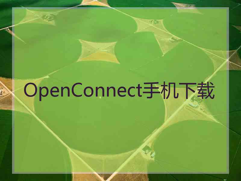 OpenConnect手机下载