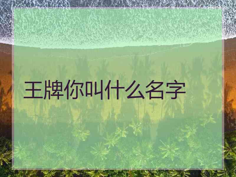 王牌你叫什么名字