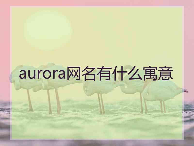 aurora网名有什么寓意