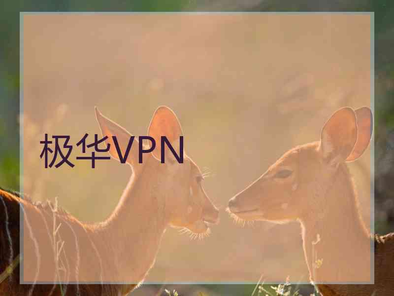 极华VPN