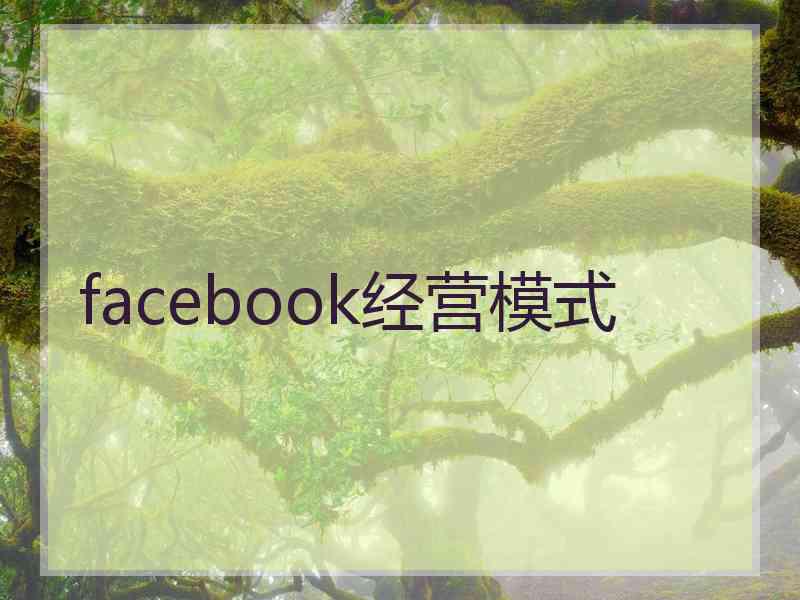 facebook经营模式