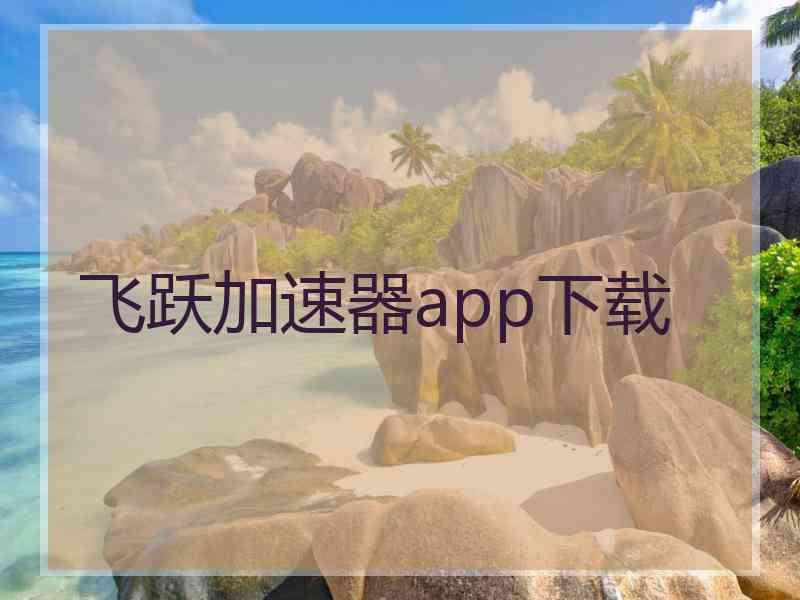 飞跃加速器app下载