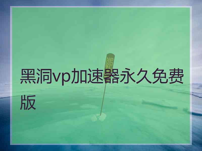 黑洞vp加速器永久免费版