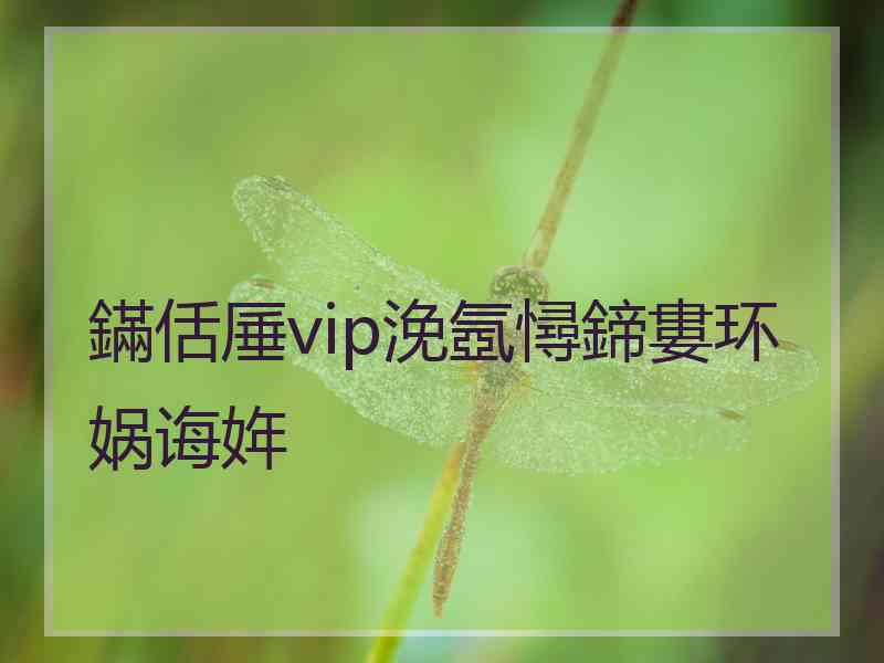 鏋佸厜vip浼氬憳鍗婁环娲诲姩