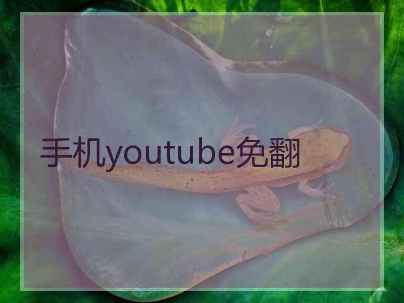 手机youtube免翻