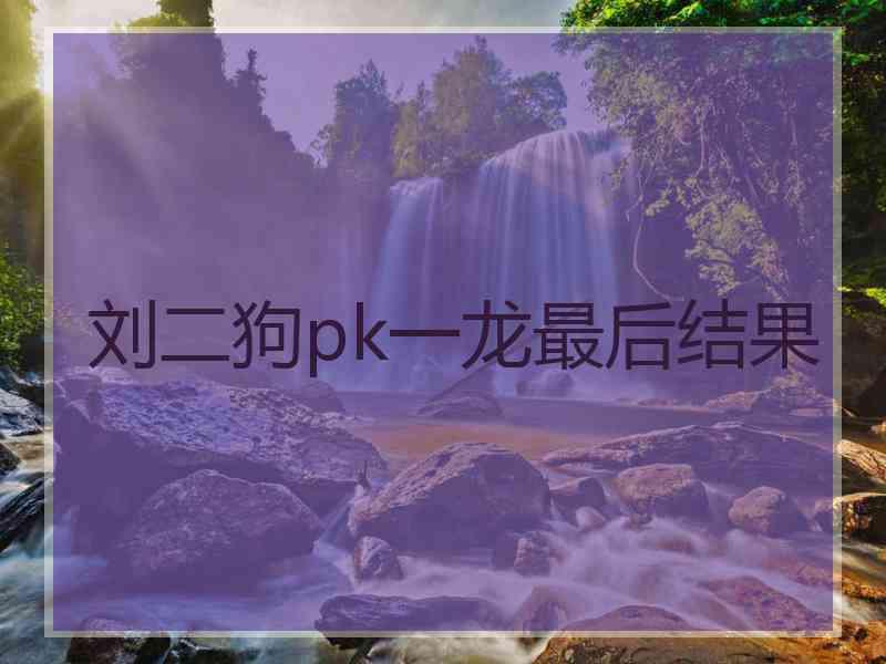 刘二狗pk一龙最后结果