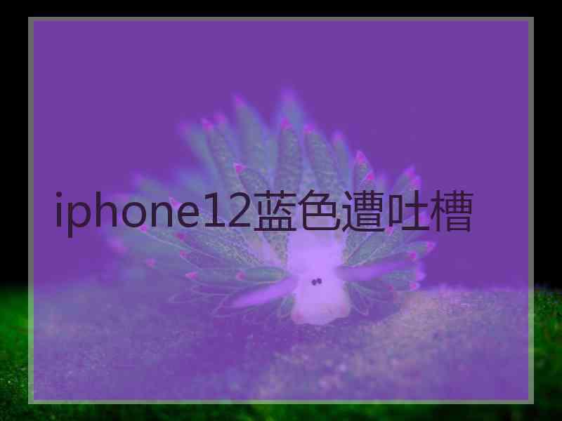 iphone12蓝色遭吐槽