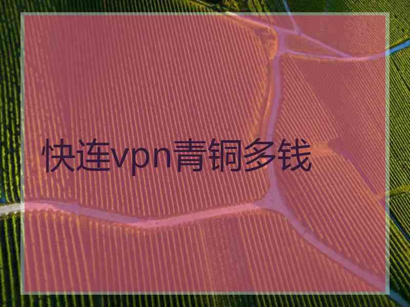 快连vpn青铜多钱