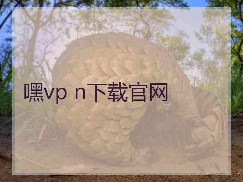 嘿vp n下载官网