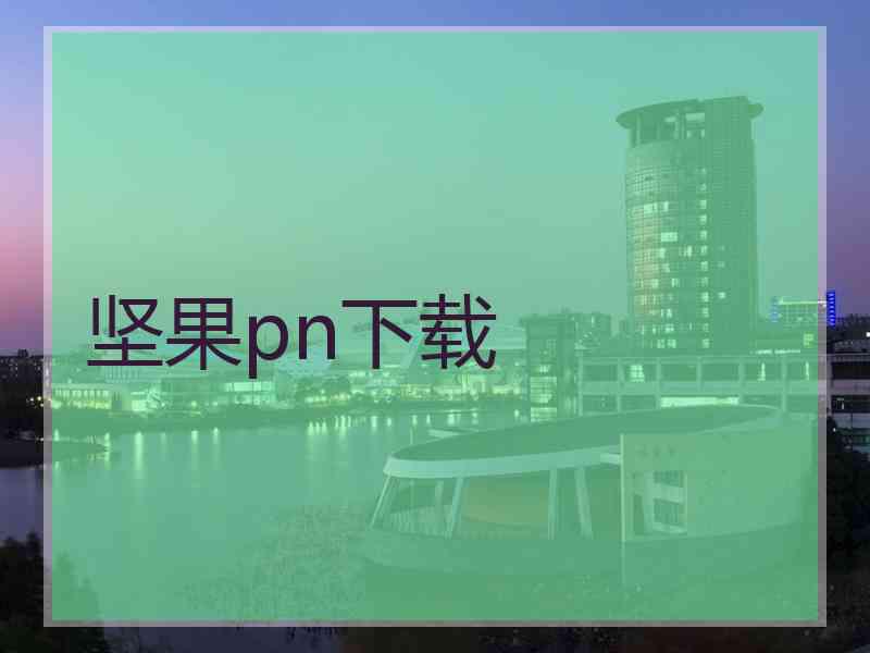 坚果pn下载