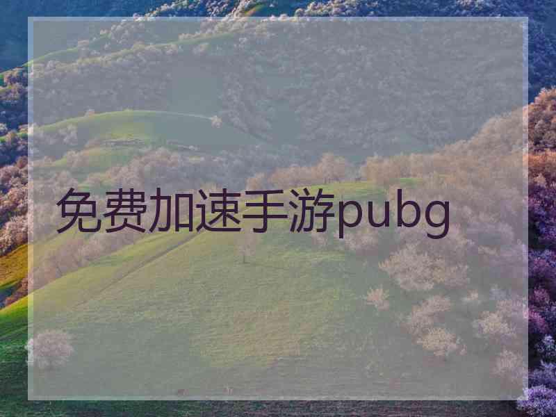 免费加速手游pubg