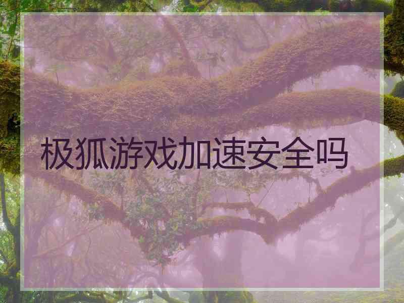 极狐游戏加速安全吗