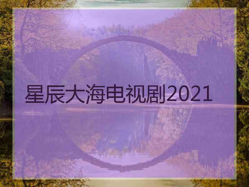 星辰大海电视剧2021