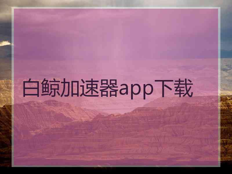 白鲸加速器app下载