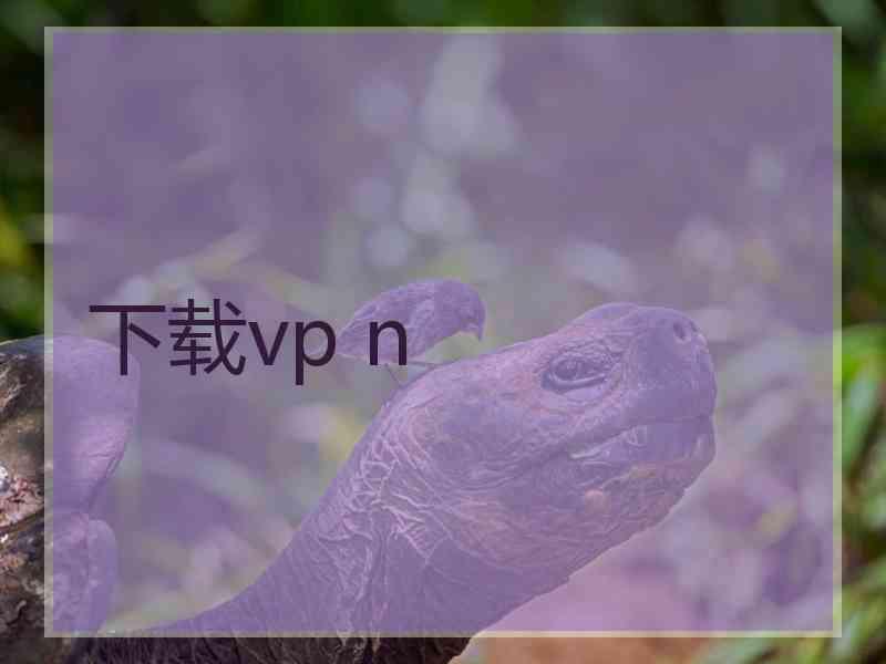 下载vp n