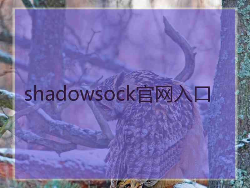 shadowsock官网入口