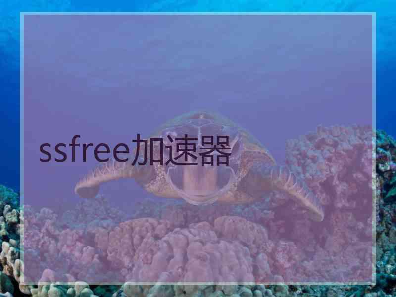 ssfree加速器