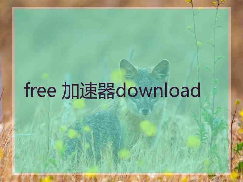 free 加速器download