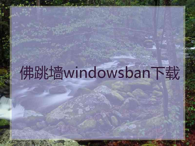 佛跳墙windowsban下载