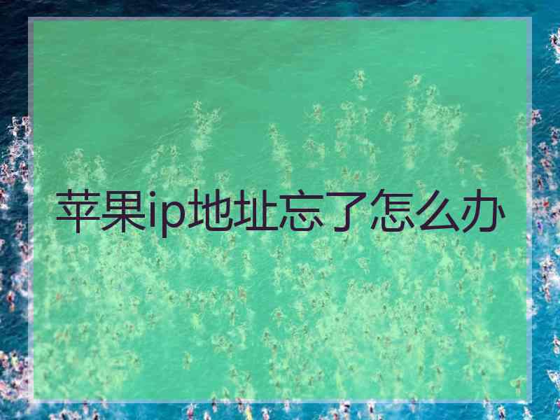 苹果ip地址忘了怎么办