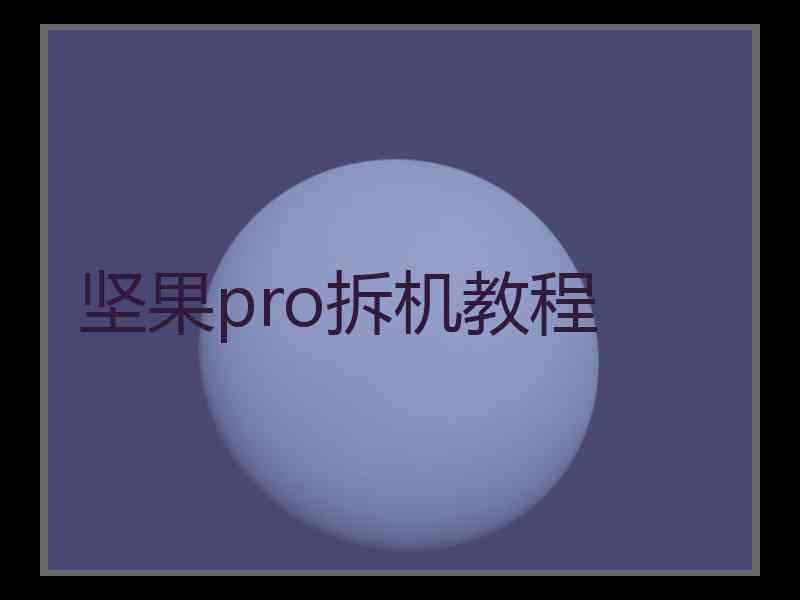 坚果pro拆机教程