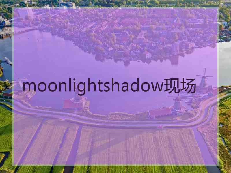 moonlightshadow现场