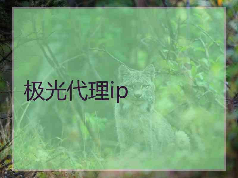 极光代理ip