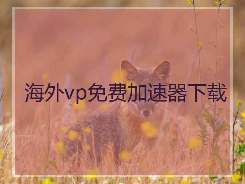 海外vp免费加速器下载