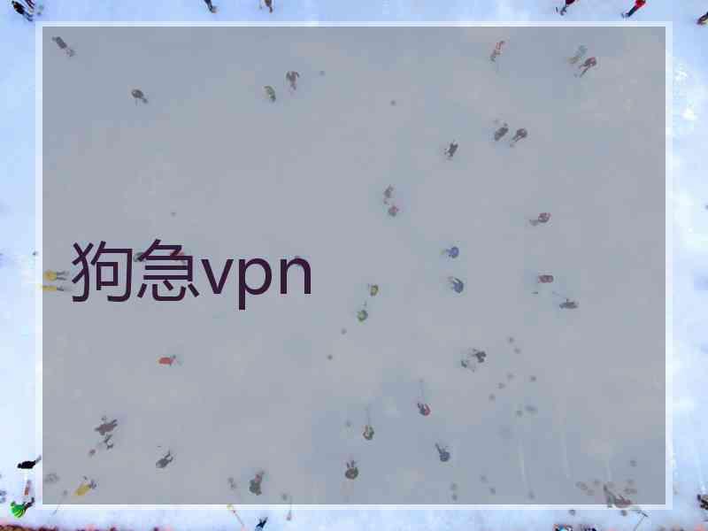 狗急vpn