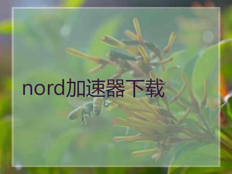 nord加速器下载