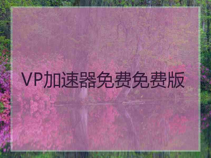 VP加速器免费免费版