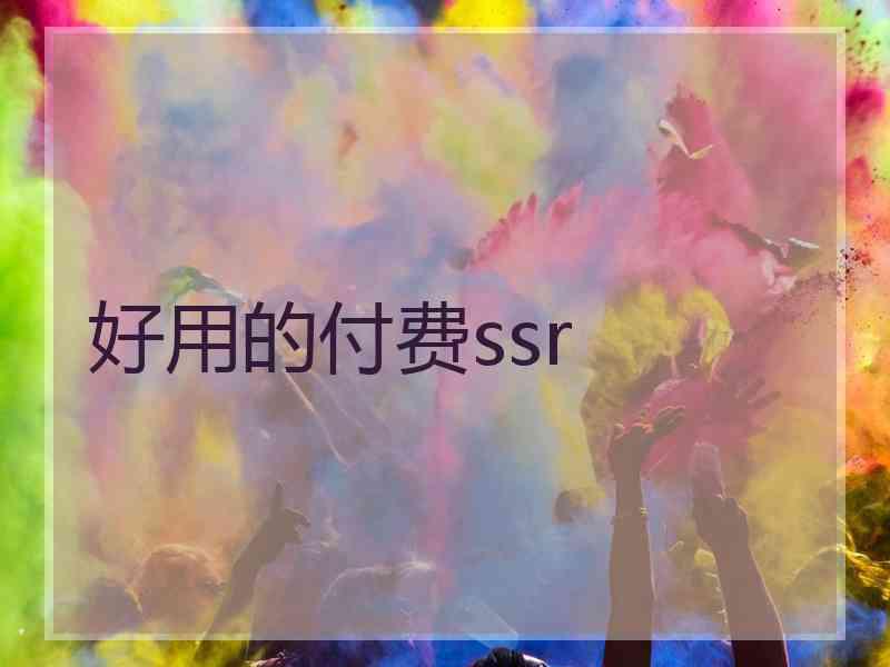 好用的付费ssr