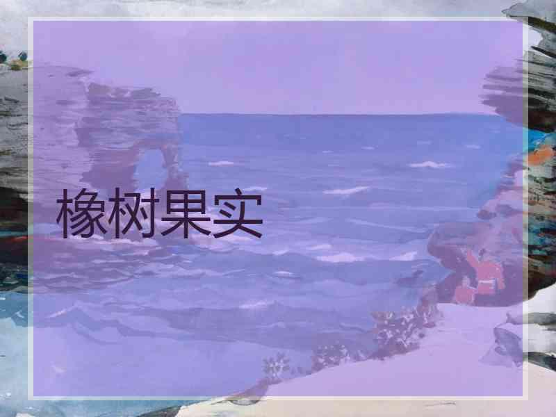 橡树果实