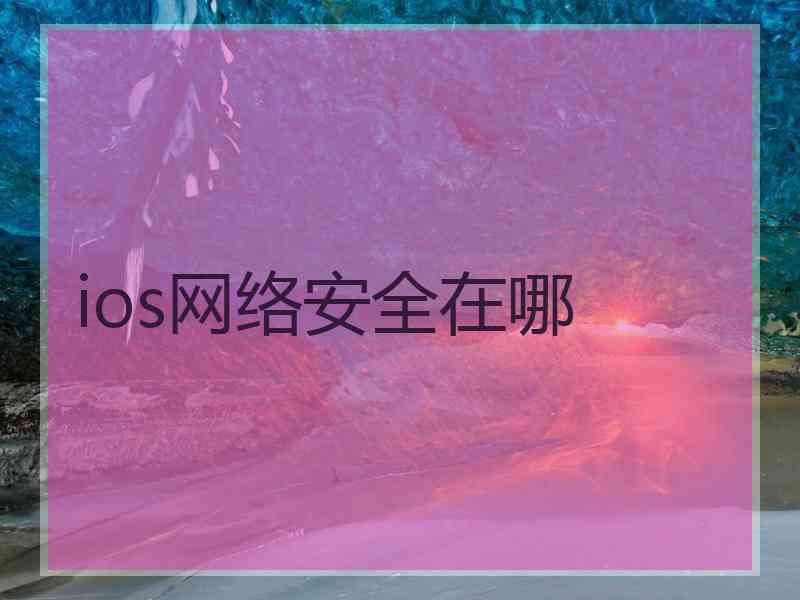 ios网络安全在哪