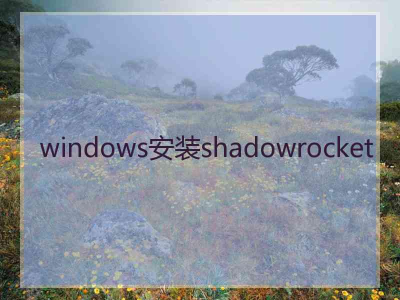 windows安装shadowrocket