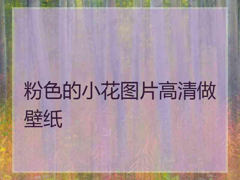 粉色的小花图片高清做壁纸