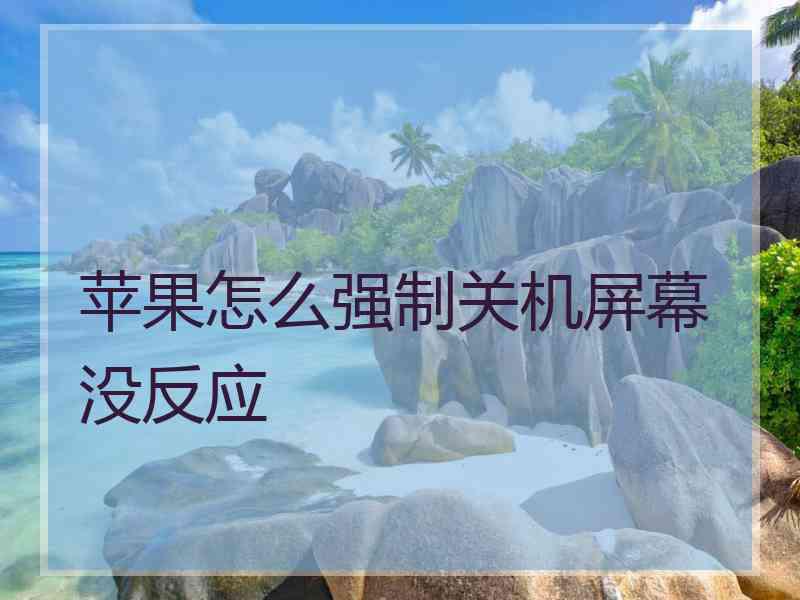 苹果怎么强制关机屏幕没反应