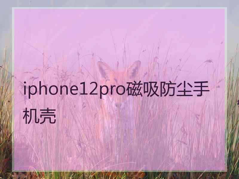 iphone12pro磁吸防尘手机壳