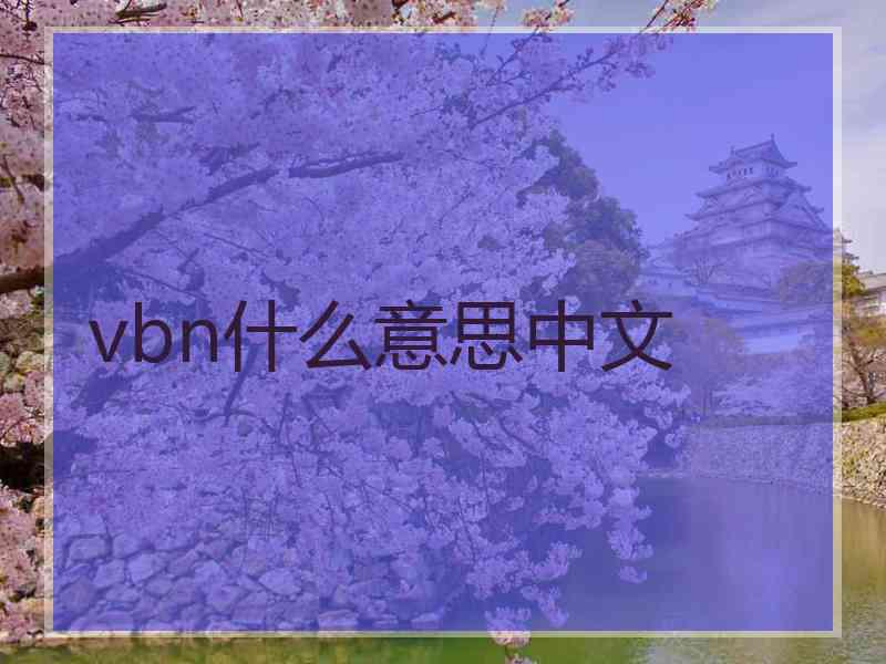 vbn什么意思中文